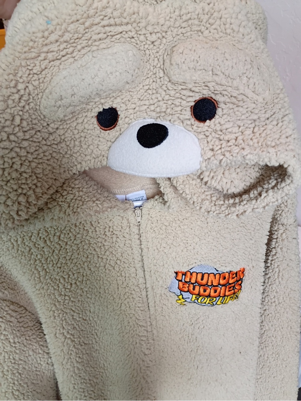 Ted 2- thunder buddies for life onsie
